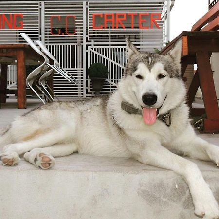 Cong Carter Muay Thai Camp Hotel Hua Hin Exterior foto